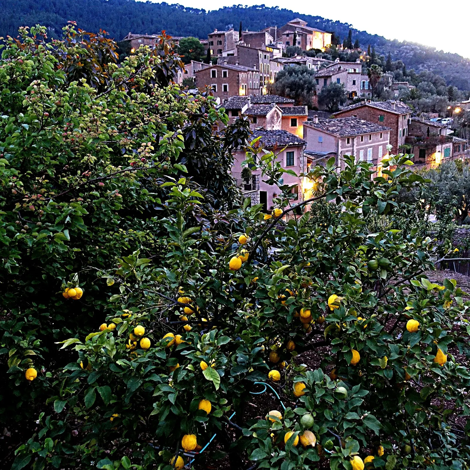 Stone village in the mountains of Mallorca